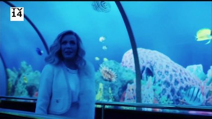 Doctor Odyssey S01E12 Sophisticated Ladies