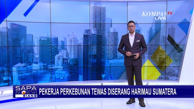 Petugas Evakuasi Harimau Sumatera Serang Pekerja hingga Tewas di Riau