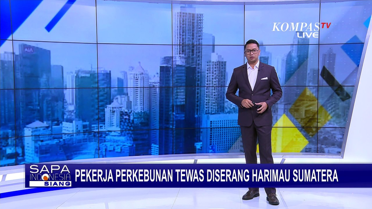 Petugas Evakuasi Harimau Sumatera Serang Pekerj...