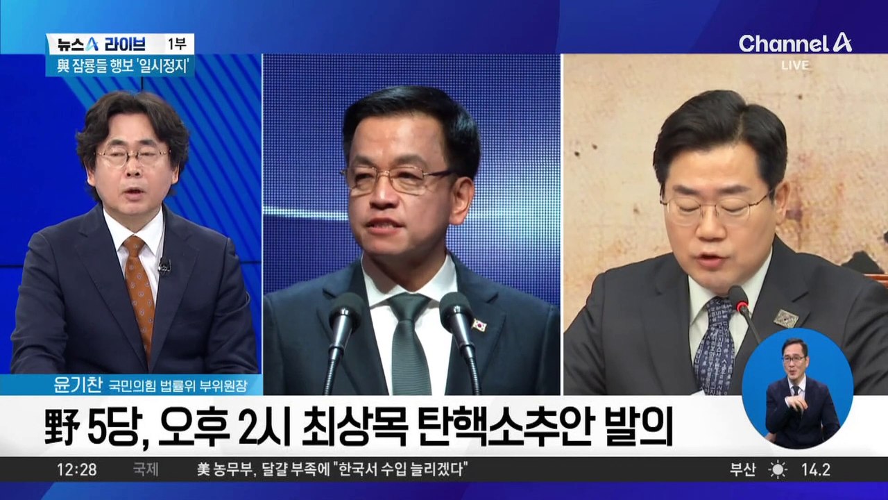 野 5당, 오후 2시 최상목 탄핵소추안 발의