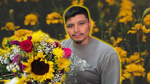 Yucatecos entregan flores amarillas para celebrar la primavera