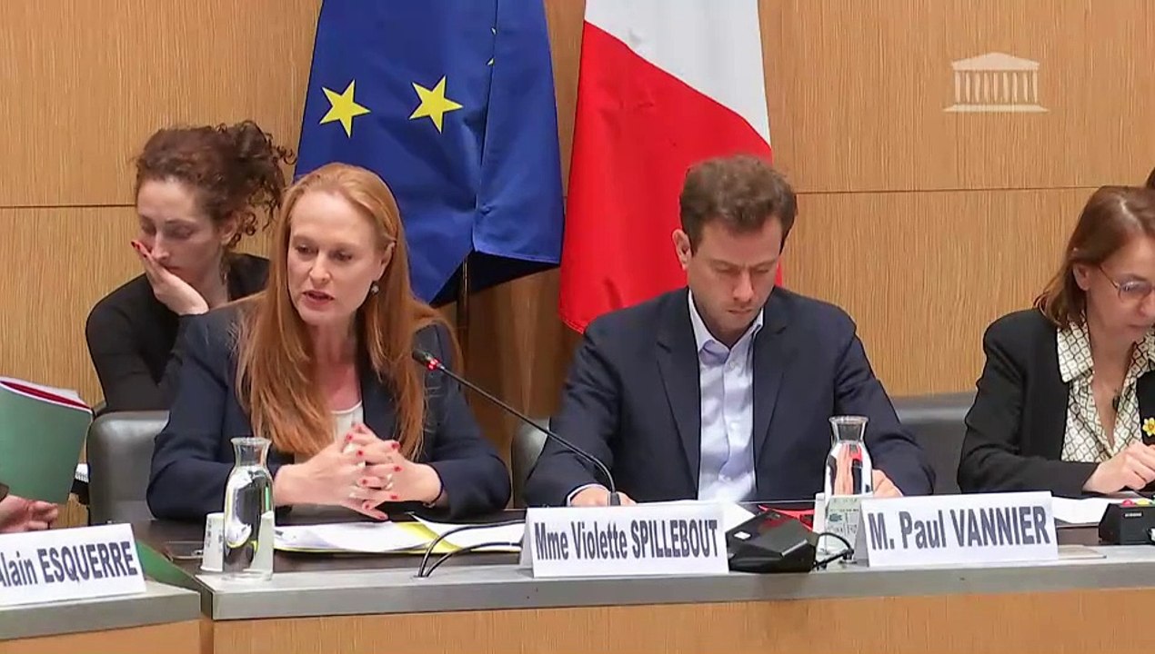 Commission des affaires culturelles : Représentants de collectifs de victimes de violences dans les établissements scolaires - Jeudi 20 mars 2025