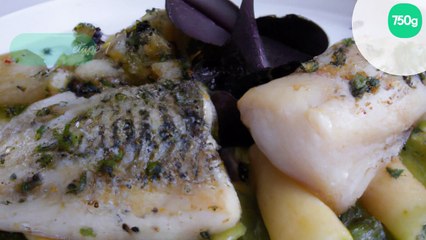 Filet de Saint Pierre et grenailles