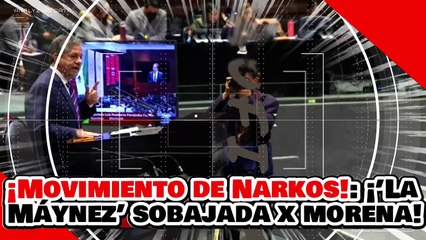 ¡MOVIMIENTO NARKO! ¡’La MÁYNEZ’ es HUMILLADA por el DIPUTADO FERNÁNDEZ por ATACAR la LEY de AMPARO!