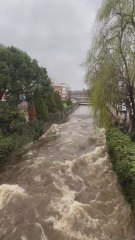 Las increíbles imágenes del desbordamiento del río Guadarrama