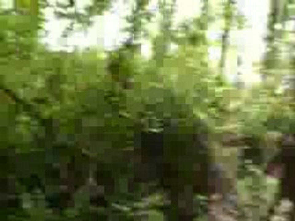 Balade01