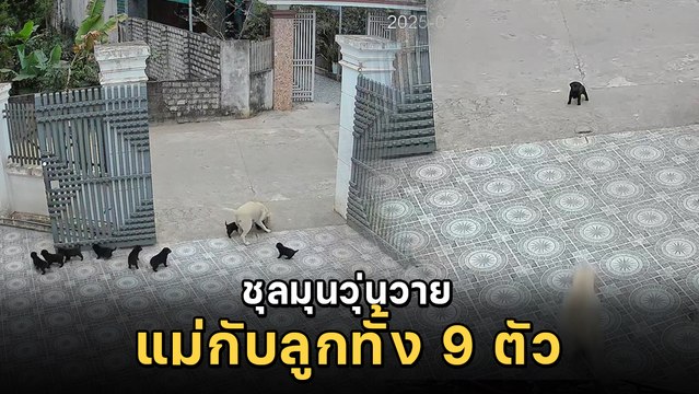 เรื่องวุ่น ๆ ของคุณแม่กับลูกอีก 9 ตัว มันก็จะเหนื่อยนิดหน่อย