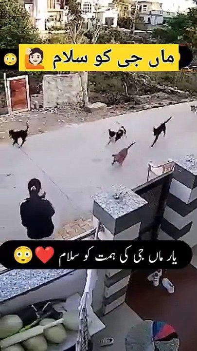 👍👌🏻👌🏼👌👊👊