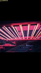 Infrared quartz 1500w 515mm replacement lamp Infrared Halogen heat lamp for the printing Machine