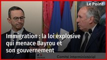 Immigration : la loi explosive qui menace Bayrou et son gouvernement