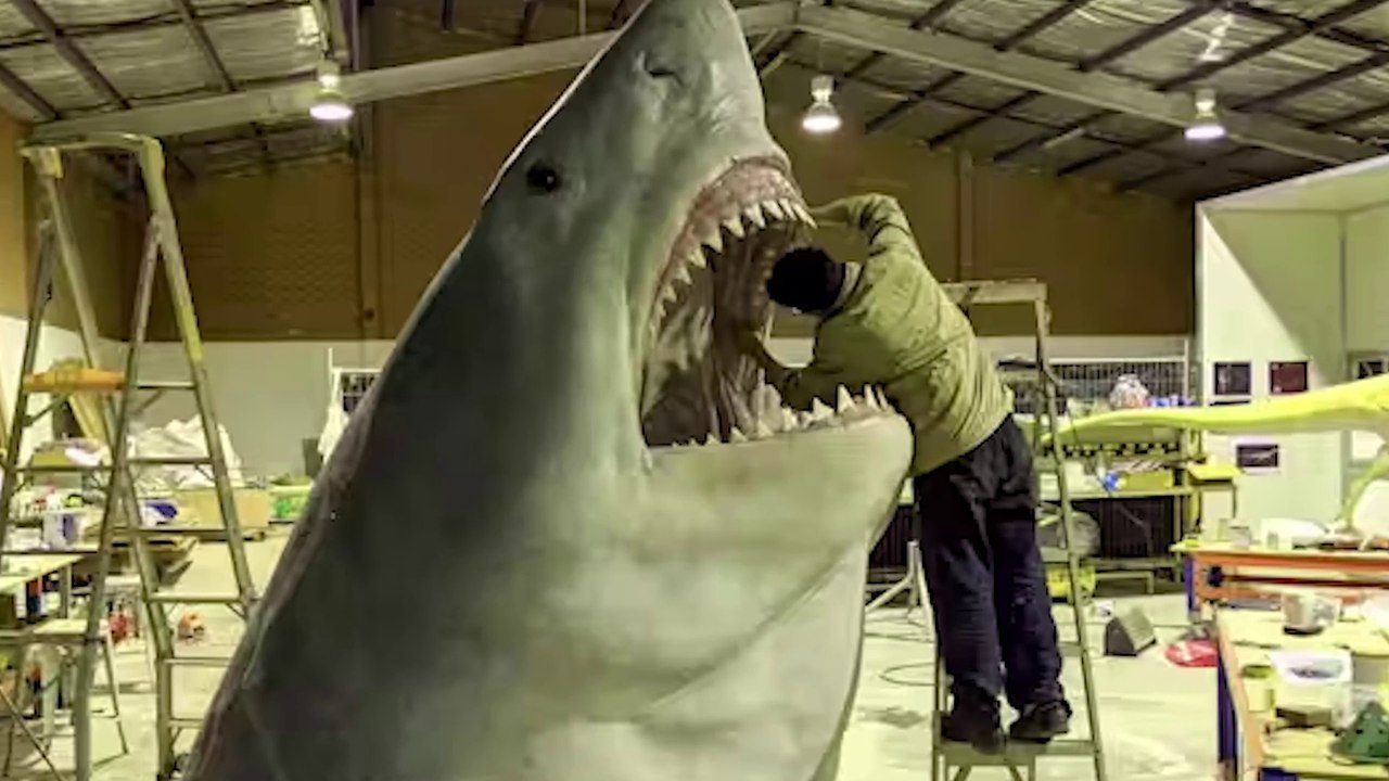 🦈 Megalodon – The Most FEARSOME Marine Predator! 😱 What If It Never ...