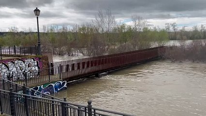 Impresionante crecida del Tajo en Talavera