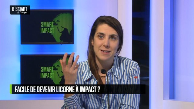 SMART IMPACT - Faire grandir l’économie à impact : un enjeu de taille pour notre société