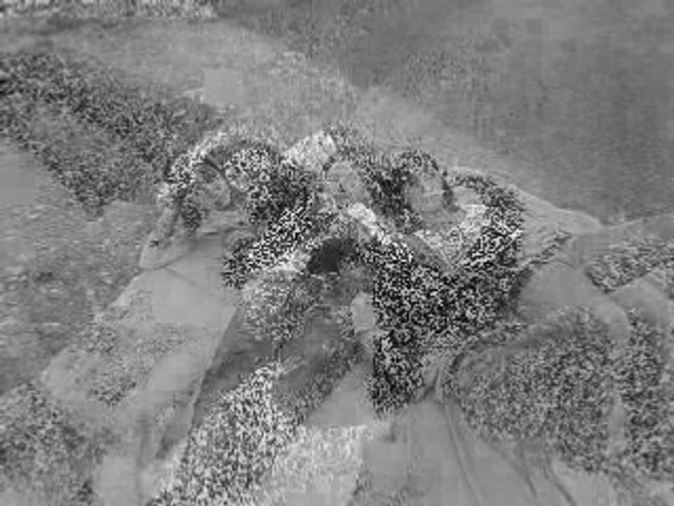 Journéé avec des gens ke jaime