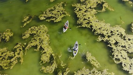Van Gölü çekildi: Ortaya çıkan mikrobiyalitler dikkat çekti