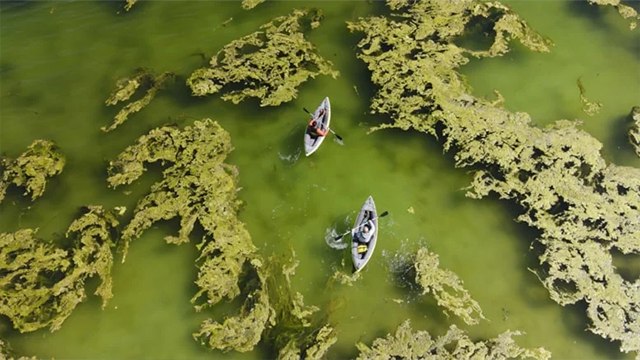 Van Gölü çekildi: Ortaya çıkan mikrobiyalitler dikkat çekti