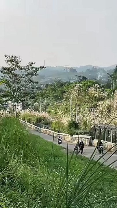 Kereta cepat Whoosh - Jembatan kereta api yang luar biasa ini sungguh mengesankan! Apa pendapat kalian tentang pemandangannya? Berbagi pengalaman atau kisah kalian tentang perjalanan kereta di kolom komentar!