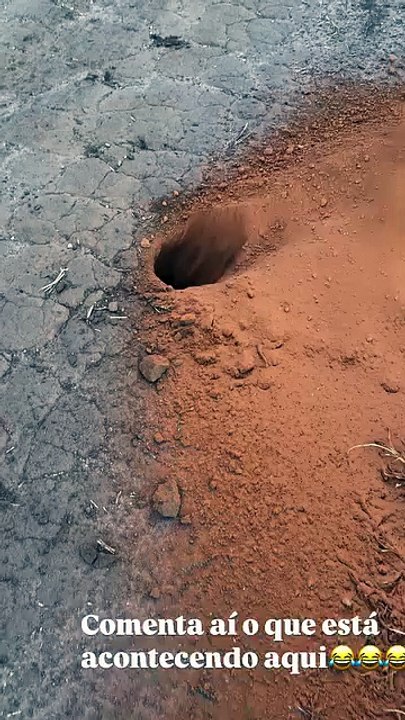 Terra pAra cima