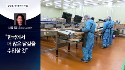 美, 달걀값 폭등에 한국서 67만 개 수입