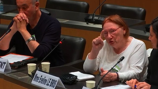 Des victimes de violences dans des écoles catholiques témoignent à l'Assemblée nationale