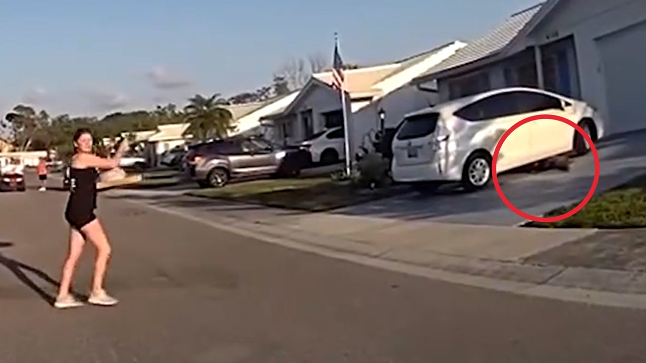 2,5 Meter langer Alligator streift durch die Nachbarschaft – und versetzt Pizzaboten in Angst und Schrecken