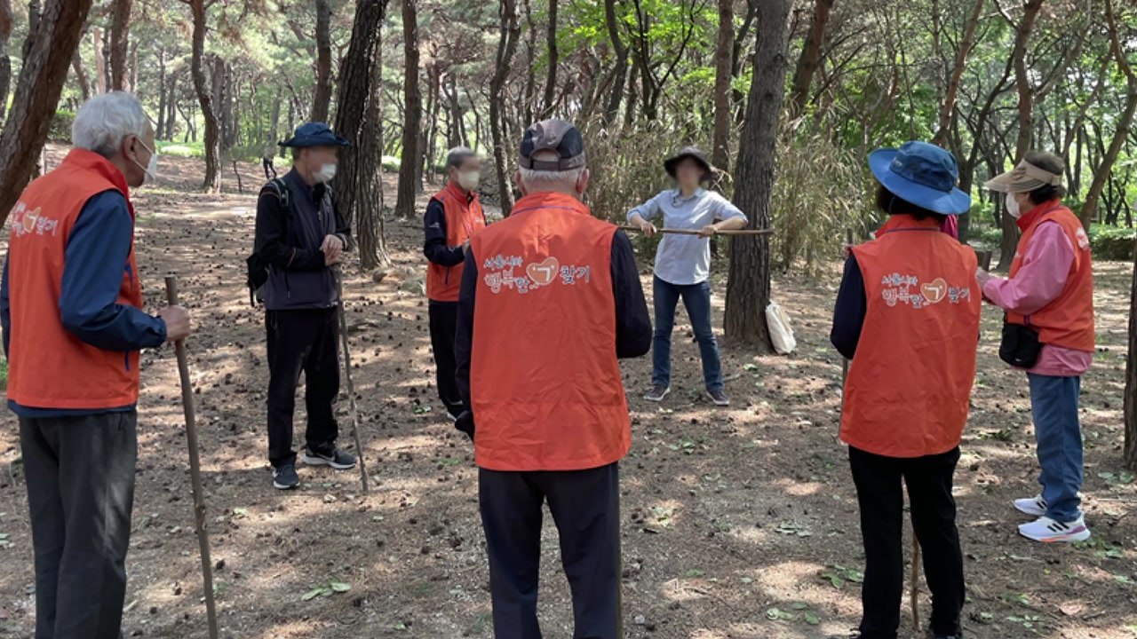 [서울] 산림 치유로 치매 예방...서울시 '기억 숲 산책' 운영 / YTN