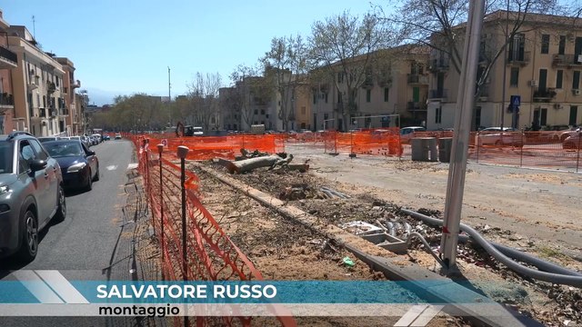 Parcheggio viale Giostra, alberi abbattuti e polemiche