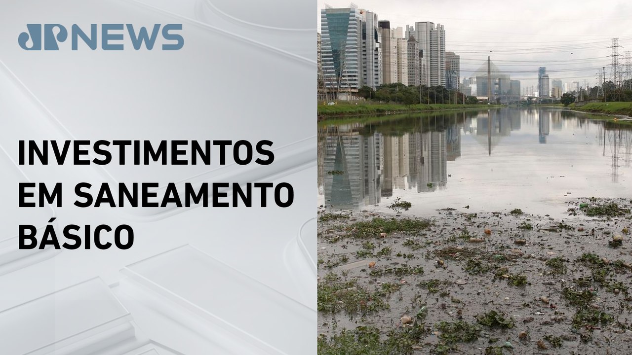 Mais de 75% dos rios da Mata Atlântica estão com qualidade da água regular