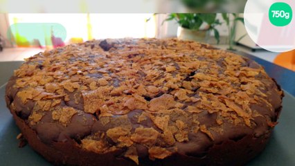 Gateau au chocolat en poudre