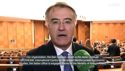 Di Terlizzi (Ciheam): "Italia al centro del dialogo al Forum Euromed dell'acqua"