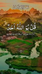 AL Quran Majeed #Dailymotion #viral #foryou