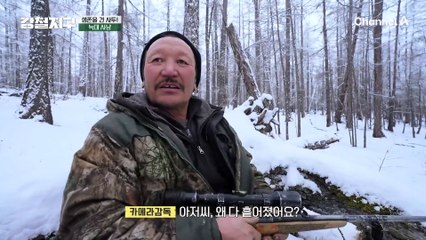 강철이들 늑대 사냥 이대로 실패?! 운이 따라야 볼 수 있는 늑대