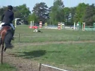 Concour complet Aubigny idoole de chanteau