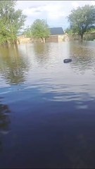 Así está la escuela de Carhué que se había inundado