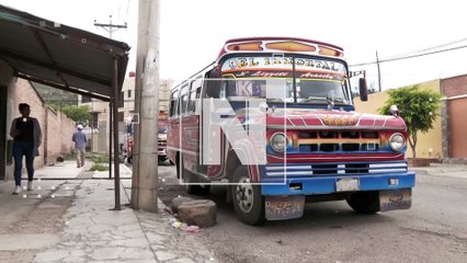 “¡Nos la quitaron!”: Hijos de Doña Alejandra, que fue atropellada por micro, piden justicia