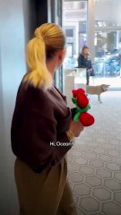 Actress Scarlett Johansson goes on blind date with a 12-year-old Pittie!