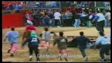 1996 04 01 Onda Pascua Taurina Vaca Pequeña 35 de Hnos Machancoses_1