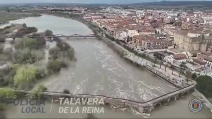El Tajo este viernes a su paso por Talavera de la Reina: el río lleva 700 metros cúbicos por segundo