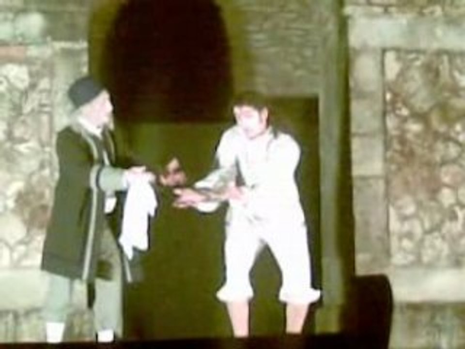 Piece de Molière au pied de vaux-le-vicomte