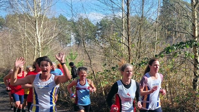 Gallery: Haslemere Border Athletics Club