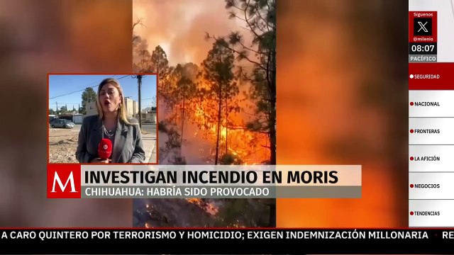 Incendio forestal en Moris, Chihuahua, habría sido provocado; ocurrió cerca de narcolaboratorio