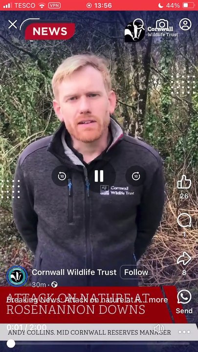 Andy Collins, Cornwall Wildlife Trust’s Mid-Cornwall Cornwall Reserve Manager discusses the impact the fire at Rosenannon Downs has had on wildlife