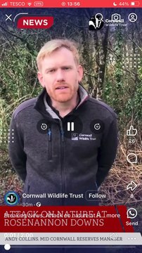 Andy Collins, Cornwall Wildlife Trust’s Mid-Cornwall Cornwall Reserve Manager discusses the impact the fire at Rosenannon Downs has had on wildlife