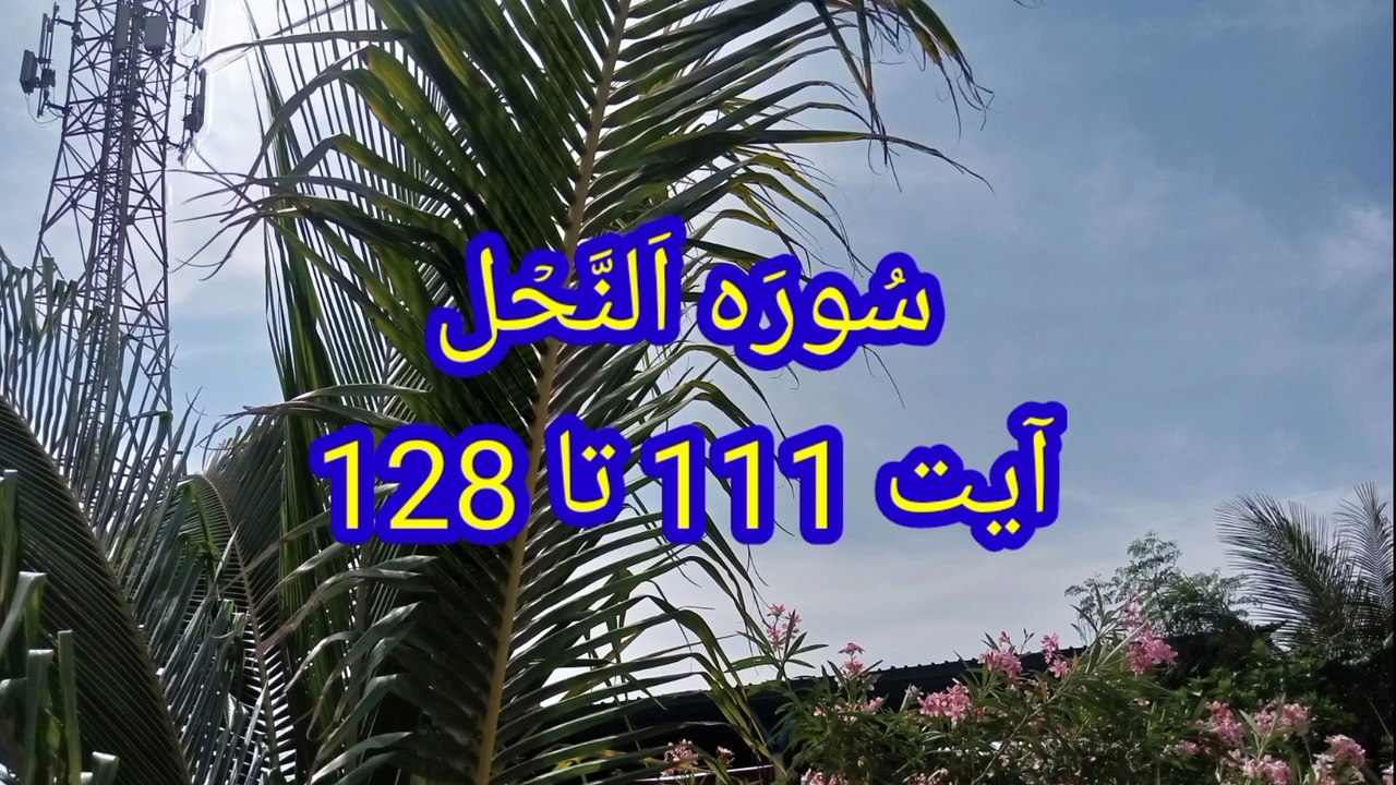 Surah An Nahl | quran recitation | Tilawat e quran | quran pak ki tilawat |