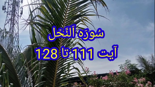 Surah An Nahl | quran recitation | Tilawat e quran | quran pak ki tilawat |