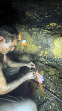 Blasting in coal mines full video on youtube link in bio.#coal #blackdiamond #mining #viral #coalmining #gold #goldmine #viralreel #diamond #foryou