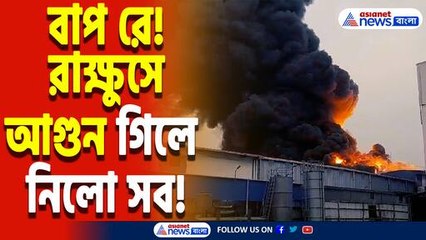 ধুলাগড়ের প্লাস্টিক কারখানায় বিধ্বংসী আগুন! দমকলের চরম যুদ্ধ, কীভাবে লাগল আগুন?