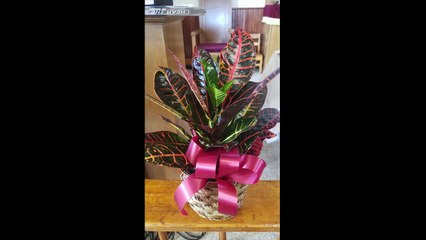 Flowers and Cards for Leon Woodhams