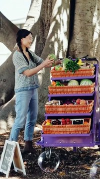 WOMAN Builds Her DREAM Vegetable Stall #woman #vegetables #vegtable #nature