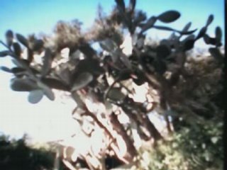 Slimane azem aya froukh ifileles